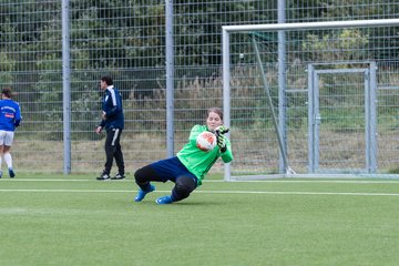 Bild 183 - F FSG Kaltenkirchen - SV Wahlstedt : Ergebnis: 6:1